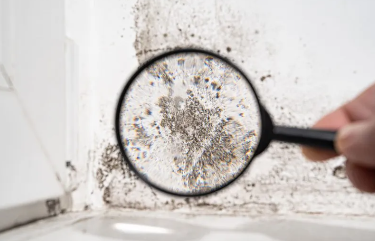 Environmental Testing